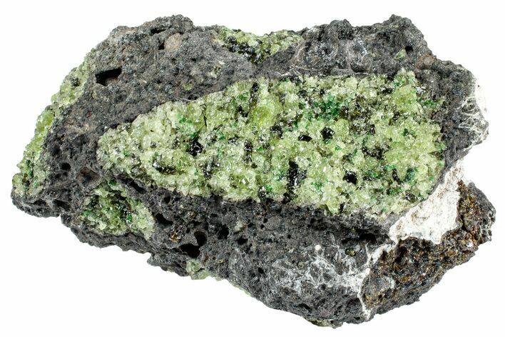 Peridot in Basalt - Arizona #239484